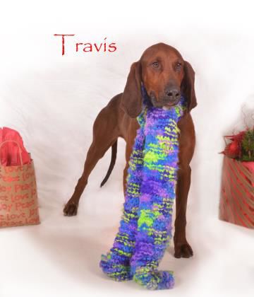 Travis.jpg